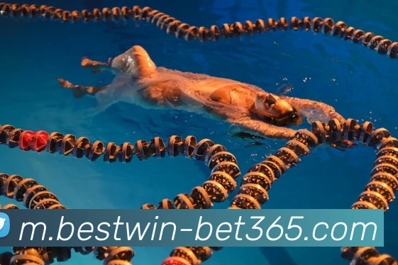 bet365APP 高清赛事图